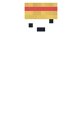 fb6bf2c1ed166e minecraft skin