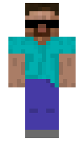 VlBE minecraft skin