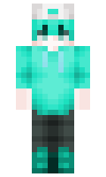 fb88dd3a5fd9bc minecraft skin
