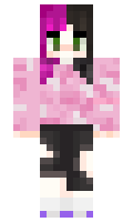 fba2f29e33607e minecraft skin