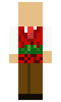 fbabd1317c2687 minecraft skin