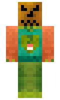 Tefa minecraft skin