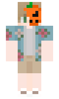 NGDPLNk minecraft skin