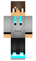 hui minecraft skin