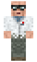 Starlight minecraft skin