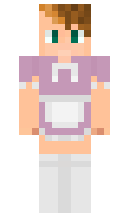 fc06b13244545f minecraft skin