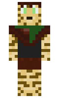 fc373f07607ee1 minecraft skin