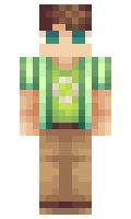 fc56d2d6f0f874 minecraft skin