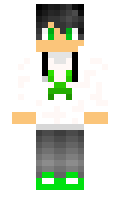 Gyocres17 minecraft skin