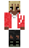 bapsyy minecraft skin