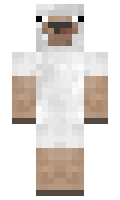 fcb6f0a7b2dec8 minecraft skin