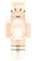 clerion minecraft skin