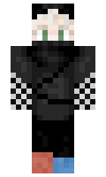 fcec13111b3fcf minecraft skin