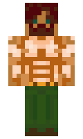 fd27e79cc64479 minecraft skin