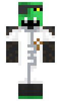 ruza minecraft skin