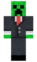 Timm291209 minecraft skin