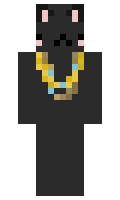 bjorkp minecraft skin