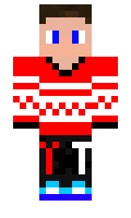 ShlepaPelmeniTop minecraft skin