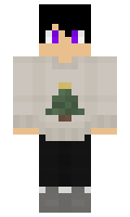 fd913e12bc8210 minecraft skin