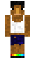 fd97f91d8ca57f minecraft skin