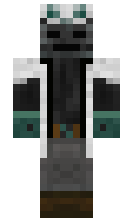 tfangel0 minecraft skin