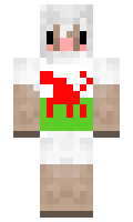 Trisckabob minecraft skin