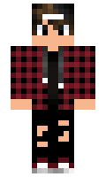 fdaae98eeb601d minecraft skin