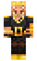 HeroCraftRaider minecraft skin