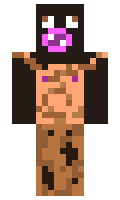 fdbf5bb2c82645 minecraft skin