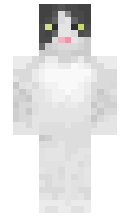 pirogok minecraft skin