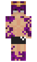 fdf81d3cd0217e minecraft skin