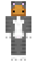 fe0dfacafd683f minecraft skin