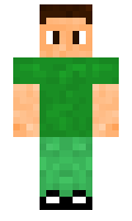 koni minecraft skin