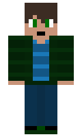 20819 minecraft skin
