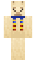 Bxilder minecraft skin