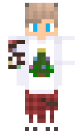 fe55a07a586996 minecraft skin