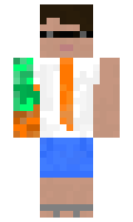 fe6c1385a0018b minecraft skin