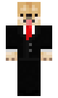 pdyk minecraft skin