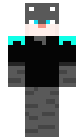 feb7320a6324cc minecraft skin