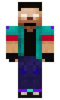 28488 minecraft skin
