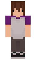 Tingblags minecraft skin