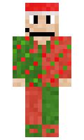 feeceff9cb6070 minecraft skin