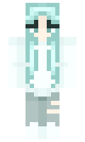 polimer minecraft skin