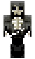 fef72a2c516b15 minecraft skin