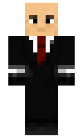 FLL minecraft skin