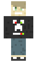 ff278814972352 minecraft skin