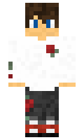 ff3137fbd08522 minecraft skin
