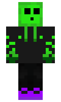 RoyalgamerXD301 minecraft skin