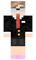vini55505 minecraft skin