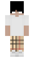 proster14 minecraft skin